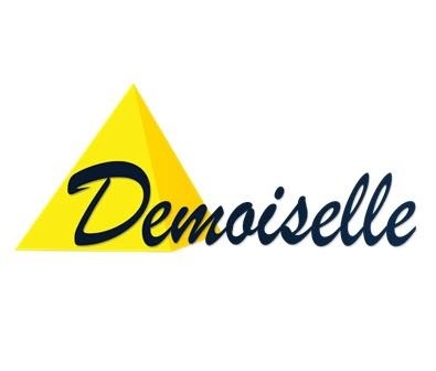 Le RAC à l'honneur sur Demoiselle FM