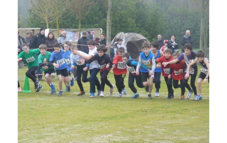 Résultats cross départemental Aigrefeuille