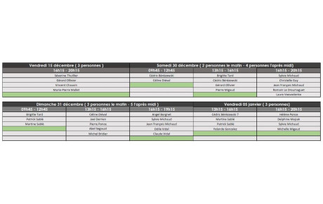Participation à la patinoire : Planning 