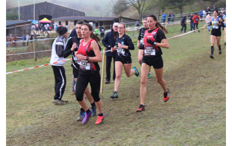 Cross : 20 participants aux 1/4 de finale des France