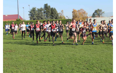 Cross de Saintes - 17 novembre 2019